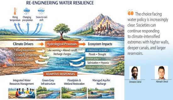 Water Resilience Needs Natural Systems 