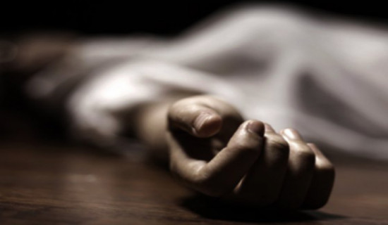 29-year-old youth dies of snakebite in Kailali
