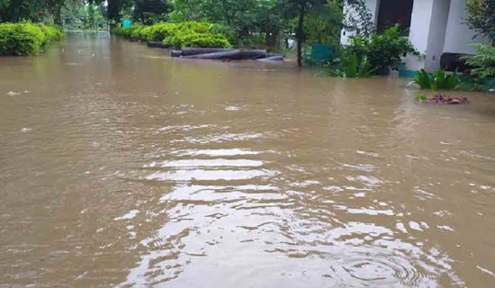 Incessant rain triggers landslides, floods in Nawalpur
