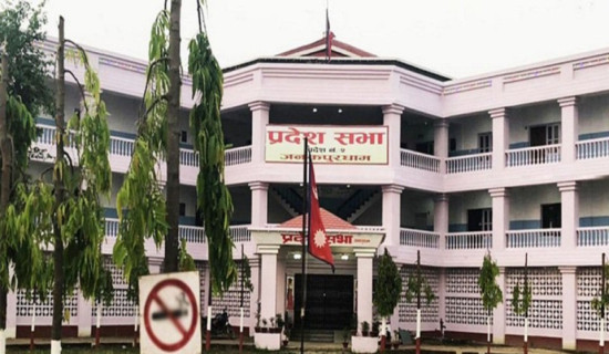 Janlokpal Commission adjudicates 15 cases in FY 82/83