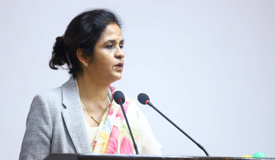 Industry Minister and FAO Representative discuss branding Nepali goods