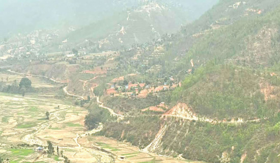 Drought leaves farmland barren