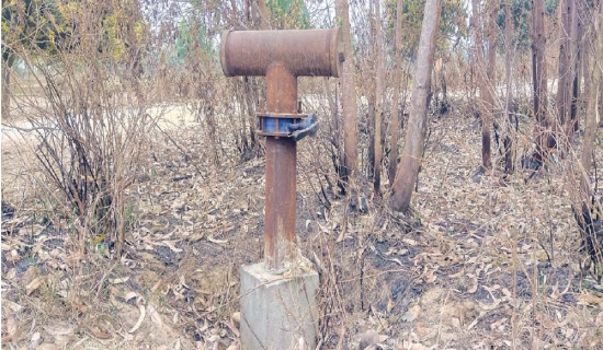 blog