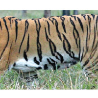 Curfew and prohibitory orders issued in Sunsari